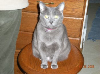 duffy359 profile photo