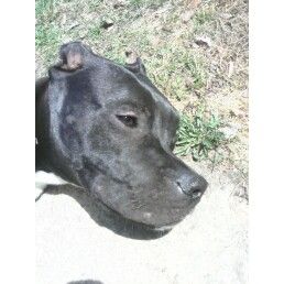 angelbabes24 profile photo