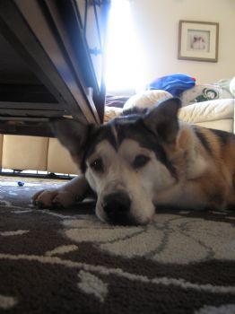 pattym20 profile photo