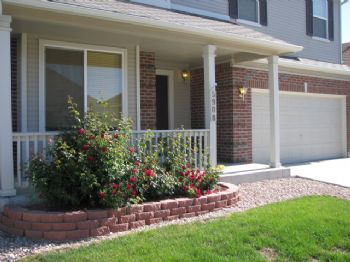 usafrubez profile photo