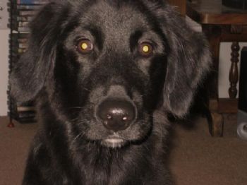 tifanee profile photo