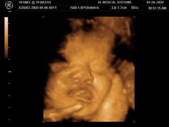 tifanee profile photo