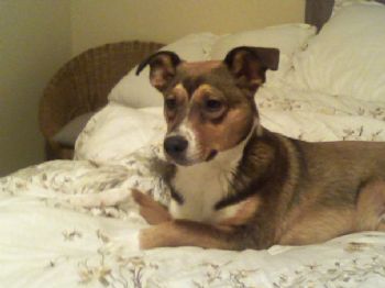 ALeMmjon profile photo