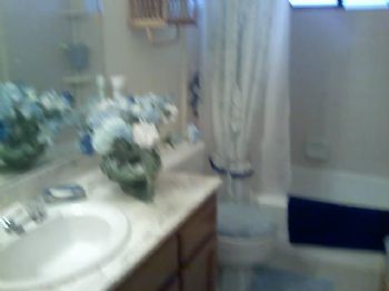 pawsonly614 profile photo