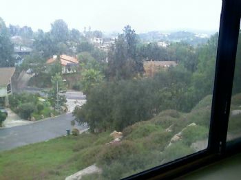 pawsonly614 profile photo