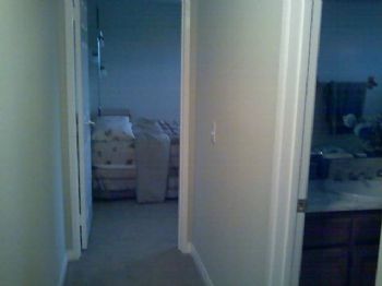 pawsonly614 profile photo