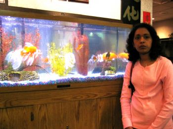 indianfemale profile photo