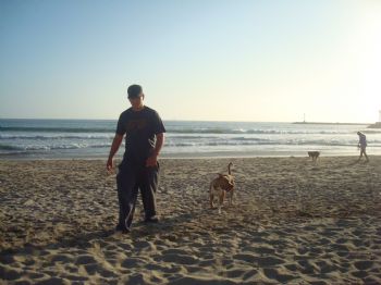 wildstylez profile photo