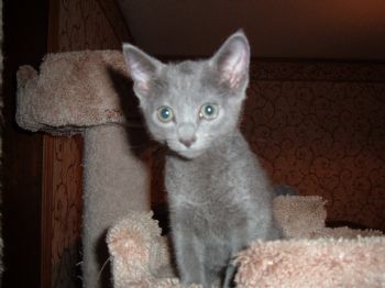 greenmartin profile photo