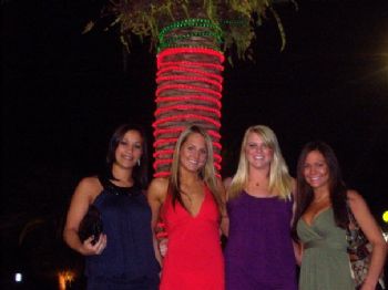 ali3522 profile photo