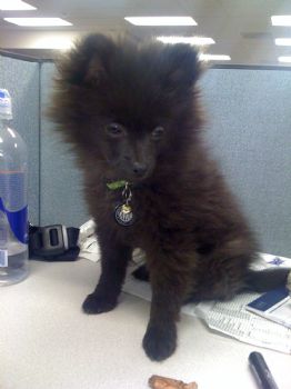 clevrnoodle profile photo