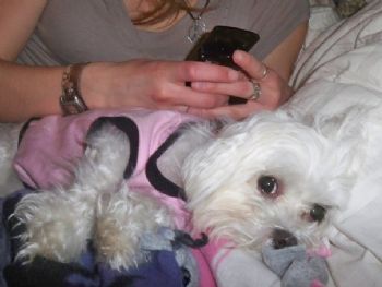 jbdsweet profile photo