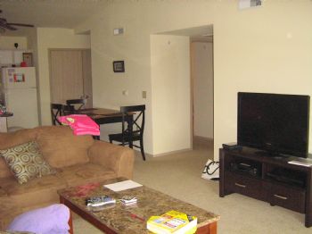 kadamson profile photo