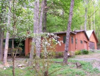 midnightmoon profile photo