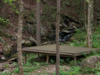 midnightmoon profile photo