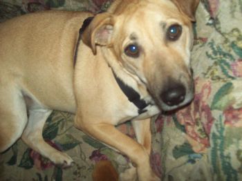 BiLovable profile photo