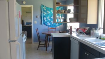 jdonovan profile photo