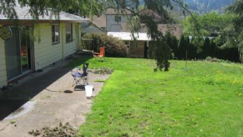 jdonovan profile photo