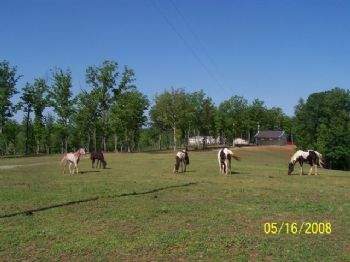 rh2232 profile photo