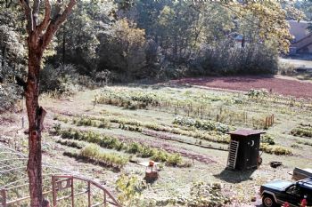 tywebb73 profile photo