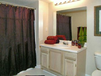 ronita4630 profile photo