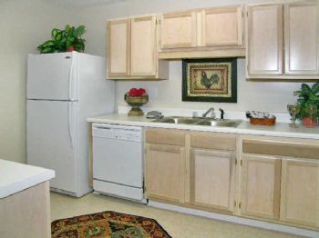 ronita4630 profile photo