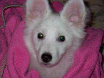 soccer2311 profile photo