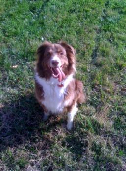 JustinCooper profile photo