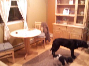 mrdjvb profile photo