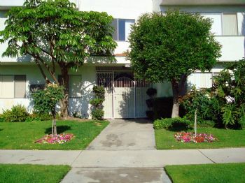 vantrees2 profile photo