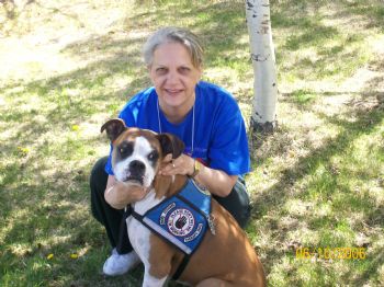 tedibear51 profile photo