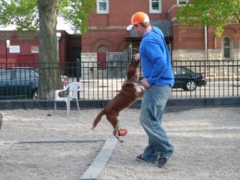 jca4198 profile photo