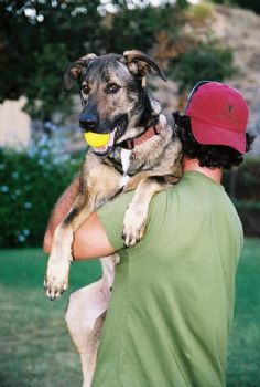 scottthomson profile photo