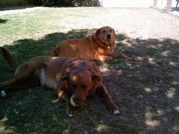 veronica75 profile photo