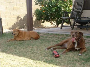 veronica75 profile photo