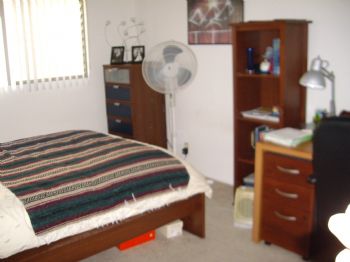 rachelfishman profile photo