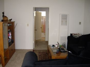 rachelfishman profile photo