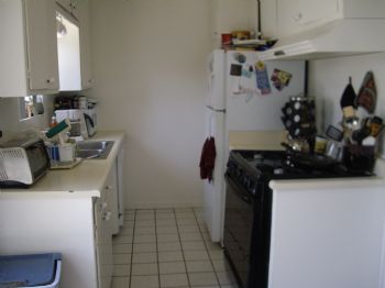 rachelfishman profile photo