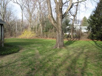 Linnyann0870 profile photo