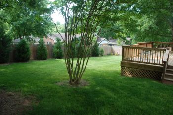 bruce23 profile photo