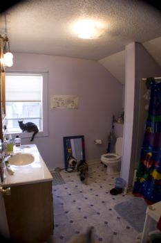 peacocl profile photo