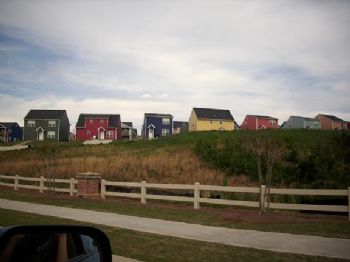 madiV1012 profile photo