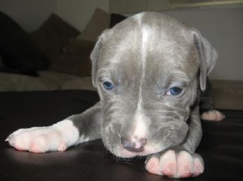 power777 profile photo