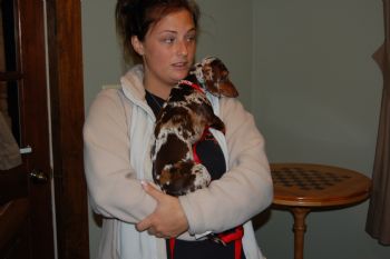 labmom39 profile photo