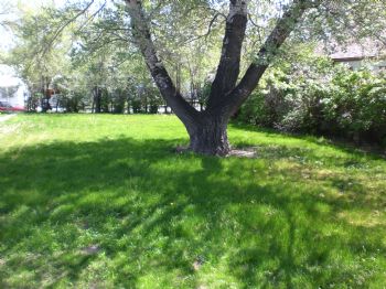 zillygirl17 profile photo