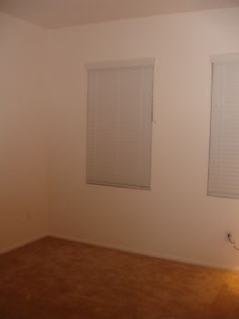 idealroomate profile photo