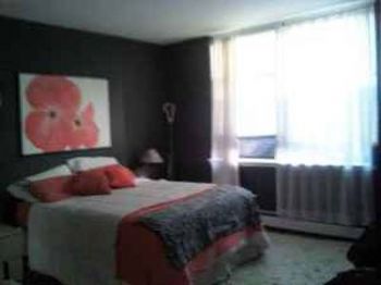 dmacedo profile photo