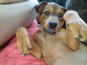 symondsl profile photo