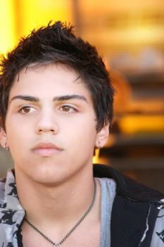 sshojaei profile photo