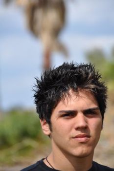 sshojaei profile photo